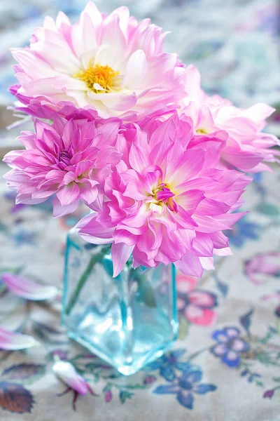 Bel mazzo di fiori  . — Foto Stock