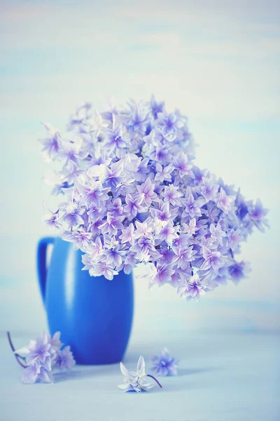Lila hydrangea blommor — Stockfoto