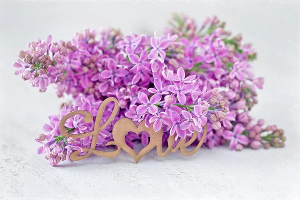 A branch of lilac — Stock Photo, Image