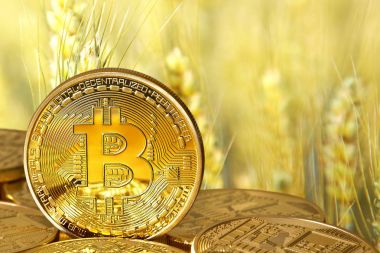 Golden Bitcoins close-up. clipart