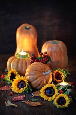 Sonbahar sakin bir hayat.