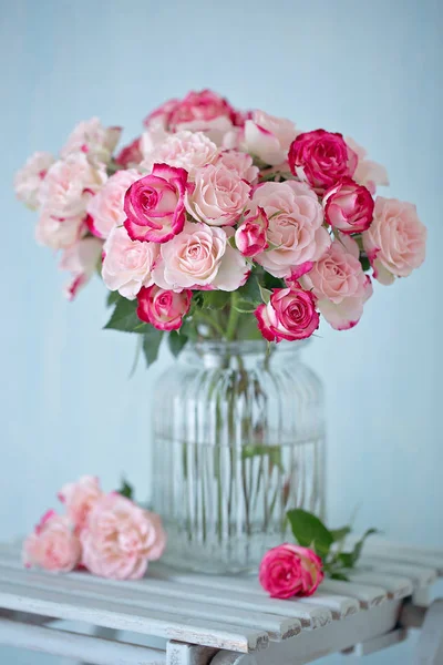 Viele schöne frische rosa Rosen — Stockfoto