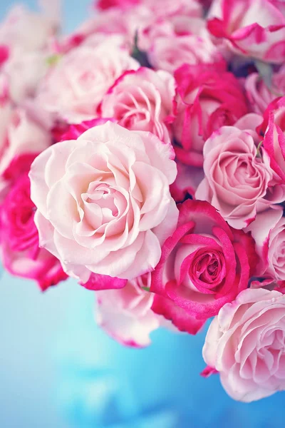 Vele mooie verse roze rozen — Stockfoto