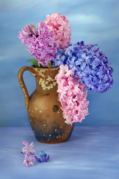 Belles jacinthes dans un vase — Photo