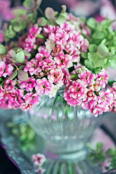 Roze Kalanchoe bloemen op tafel. — Stockfoto