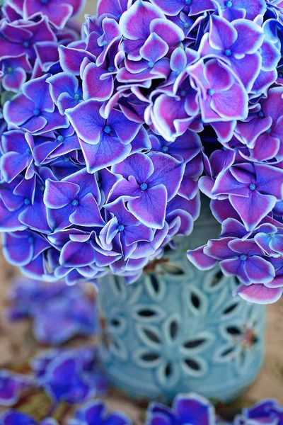 Un bellissimo mazzo di fiori. — Foto Stock