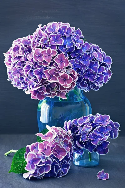 Vacker lila hydrangea blommor närbild i en vas. — Stockfoto