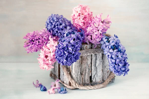 Hyacinten bloemen in een mandje — Stockfoto