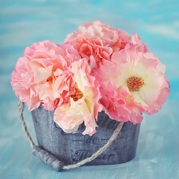 Hermosas Rosas Rosadas Frescas Sobre Fondo Azul —  Fotos de Stock