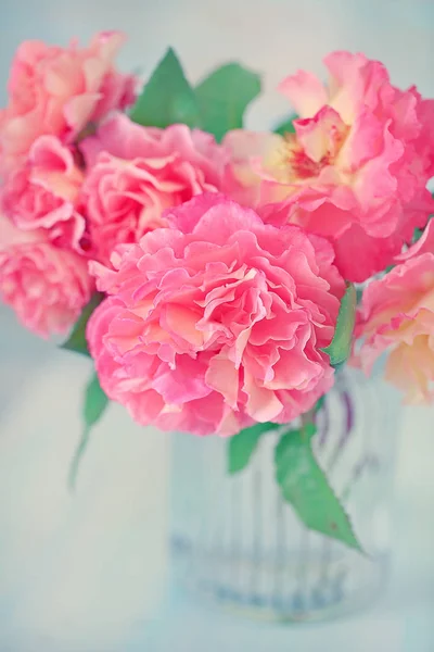 青色の背景にガラスの花瓶の庭から繊細な美しいバラの花 — ストック写真