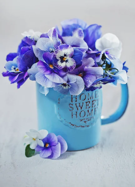 Фото Красивых Фиолетовых Голубых Цветов Крупным Планом Синей Кружке Светлом — стоковое фото