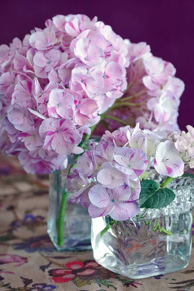 Belas Flores Hortênsia Roxas Vaso Uma Mesa — Fotografia de Stock