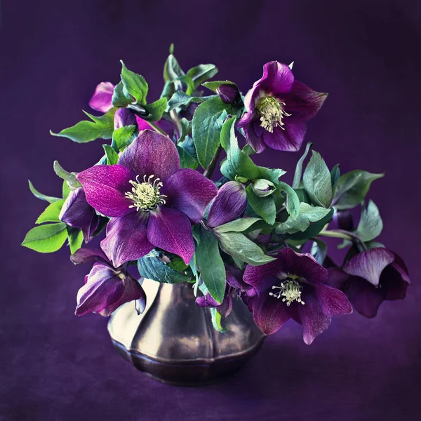 束美丽的紫色的花朵 在黑暗的背景 Vintage 风格上 垃圾纸背景 — 图库照片