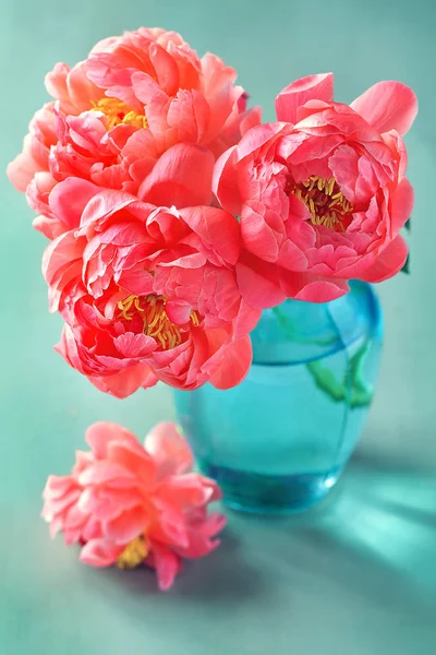 美丽的花朵花束 用牡丹来特写花朵 在绿色背景上用粉红色的牡丹花组成的特写 — 图库照片