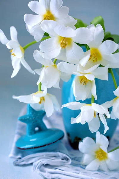 Pěkná Banda Květin Tulipány Uzavřete Květinové Složení Nádherné Bílé Čerstvé Royalty Free Stock Obrázky