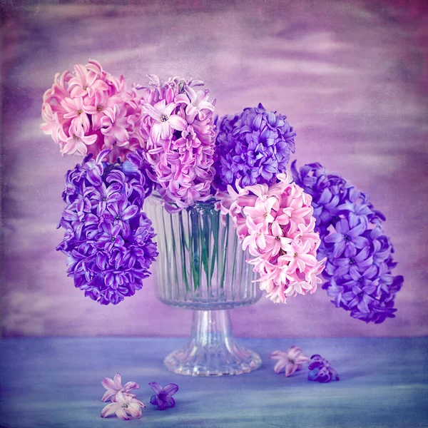 Bellissimi Giacinti Vaso Uno Sfondo Materico Viola Bellissimo Bouquet — Foto Stock