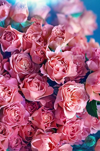 Composição Floral Close Com Uma Rosa Rosa Muitas Belas Rosas — Fotografia de Stock