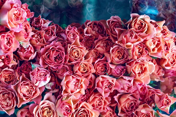 Close Floral Composition Pink Roses Many Beautiful Fresh Pink Roses — Stock Photo, Image