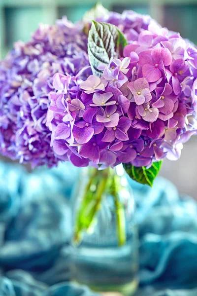 Belas Flores Hortênsia Vaso Fundo Azul — Fotografia de Stock