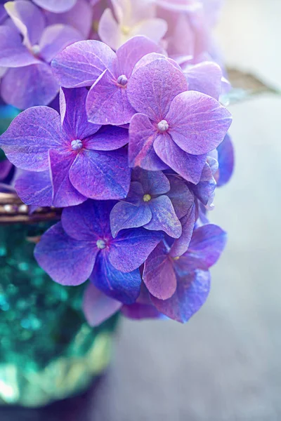 Hermoso Ramo Flores Primavera Precioso Ramo Flores — Foto de Stock