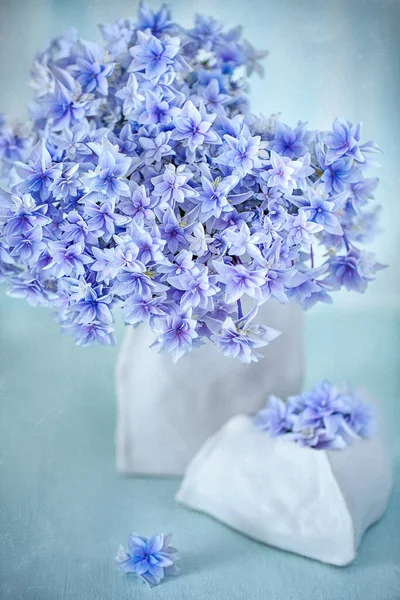 Beau Bouquet Hortensia Violette Dans Vase Sur Table Fond Bleu — Photo
