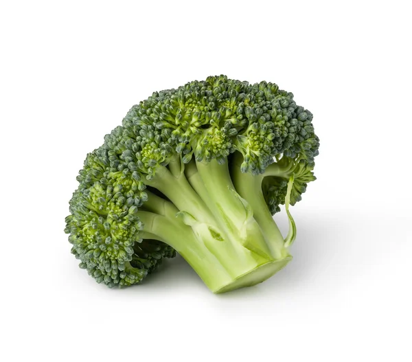 Färsk broccoli isolerad på vit bakgrund — Stockfoto