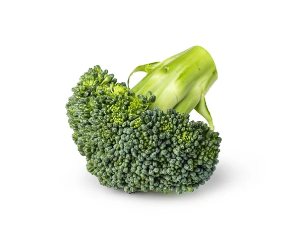 Fresh broccoli isolated on white background — Stock Photo, Image