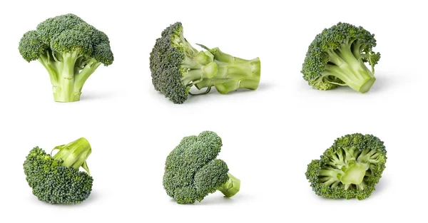 Broccoli proaspăt izolat pe fundal alb — Fotografie, imagine de stoc