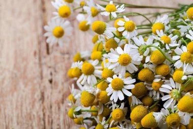Ahşap masa üzerinde tıbbi papatya