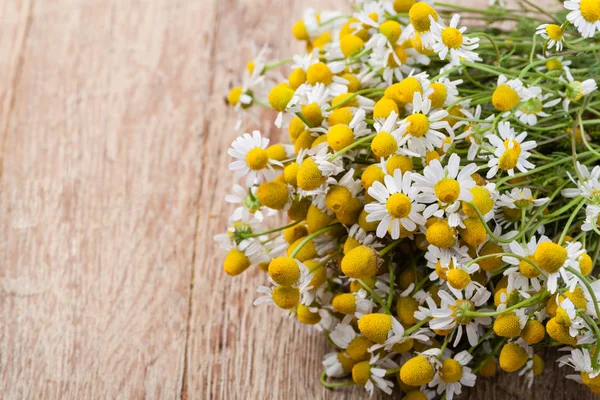 Medical Chamomile on wooden table — Stock Photo, Image