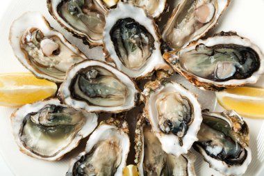 bir tabak taze istiridye