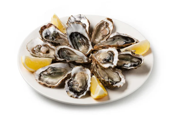Fresh oysters on a plate — Stock Photo, Image