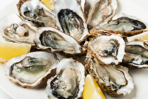 Fresh oysters on a plate — Stock Photo, Image