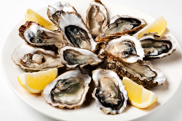 Ostras frescas en un plato —  Fotos de Stock