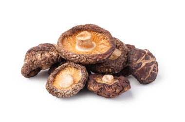 Shitake mantar bir beyaz üzerine kurutulmuş