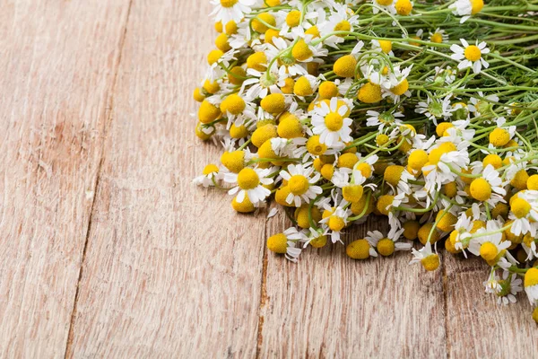 Medical Chamomile on wooden table — Stock Photo, Image