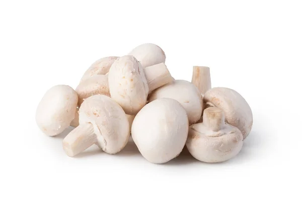 Champignons isolés sur fond blanc — Photo