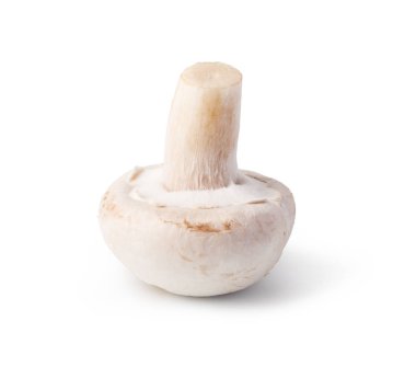 Beyaz arkaplanda izole edilmiş mantarlar