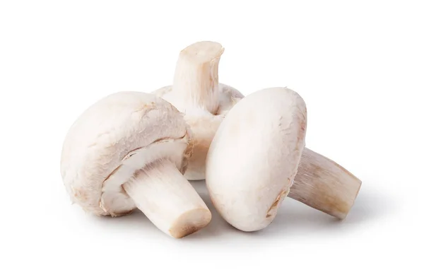 Champignons isolés sur fond blanc — Photo