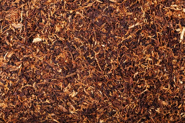 Dried smoking tobacco — Stock Photo, Image