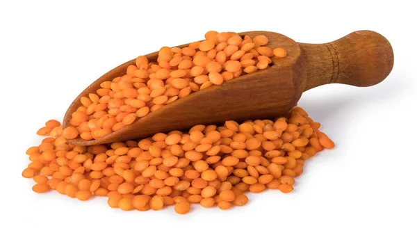 Cereali di lenticchie isolati su bianco — Foto Stock
