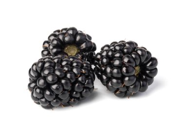 Blackberry beyaz arkaplanda izole edildi