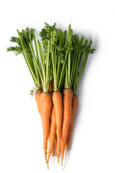 Carota isolata su uno sfondo pulito — Foto Stock