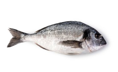 taze dorado balığı