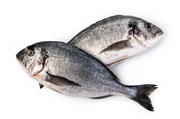 신선한도 라도 물고기 — 스톡 사진