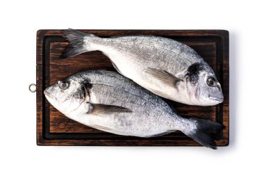 taze dorado balığı