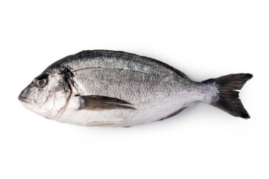 taze dorado balığı