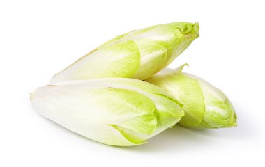 Fresh Endives clipart