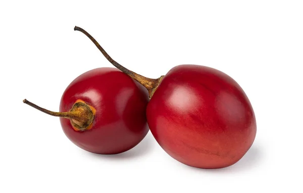 TAmarillo fehér háttér — Stock Fotó