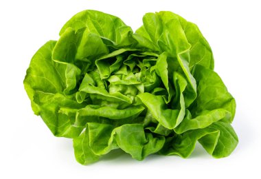 Yeşil tereyağı marul